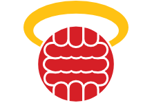 Southampton – new logo